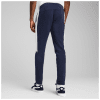 Puma TteamEVOSTRIPE Pants Trainingshose
