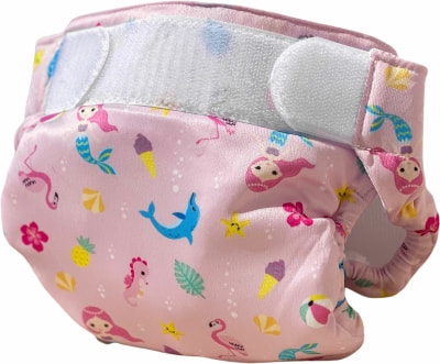 Freds Swim Nappy