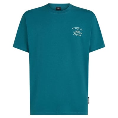 O'Neill Pán. triČko Beach Chest Print