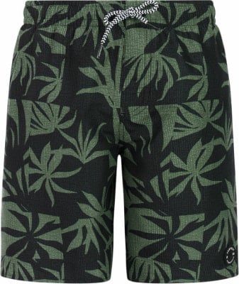 Protest PrtWilliam Badeshorts