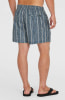 O'Neill Cali Print 15 Badeshorts