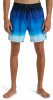 Billabong All Day Fade Badeshorts