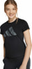 adidas Animal Big Logo Single Jersey T-Shirt