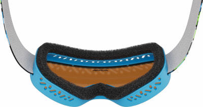 Alpina Carvy 3.0 Skibrille