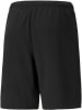 Puma Teamrise Shorts
