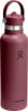 Eine weinrote Hydro Flask Flasche mit Henkel und Logo.