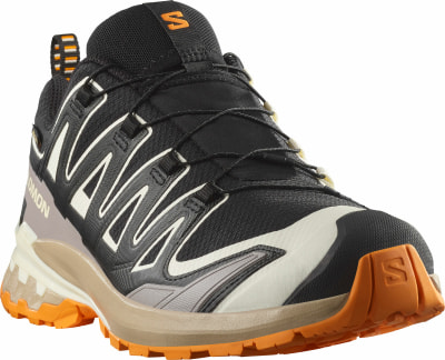 Salomon XA Pro 3D V9 GTX Traillaufschuhe
