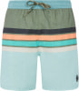 Protest Prtavik Badeshorts