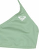 Roxy Solid Active RG Bikini-Set