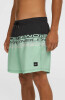 O'Neill Cali Stripe 16 Badeshorts