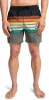 Billabong All Day Stripe Badeshorts
