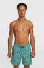 O'Neill Print Badeshorts