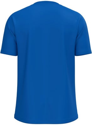 Ein blaues kurzärmeliges T-Shirt ohne Aufdruck, von hinten gezeigt. Ein blaues kurzärmeliges T-Shirt ohne Aufdruck, von hinten gezeigt.