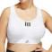 TLRD Impact Training High-Support Sport-BH