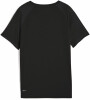 Puma Active Sports Poly T-Shirt
