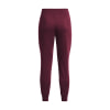 Under Armour Rival Fleece Jogginghose