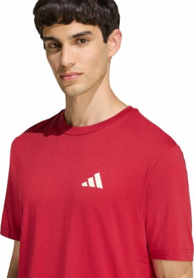 adidas Outdoor Mountain Biking Graphic T-Shirt