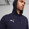 Puma teamGOAL Casuals Hoodie