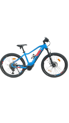 Genesis E-Pro MTB 2.2 LTD
