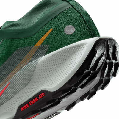 Nike Pegasus Trail 5 GTX Traillaufschuhe