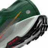 Nike Pegasus Trail 5 GTX Traillaufschuhe