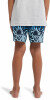 Billabong Radiant LB Badeshort