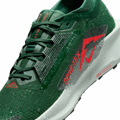 Nike Pegasus Trail 5 GTX Traillaufschuhe