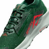 Nike Pegasus Trail 5 GTX Traillaufschuhe