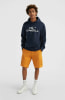 O'Neill Hoodie férfi kapucnis felső