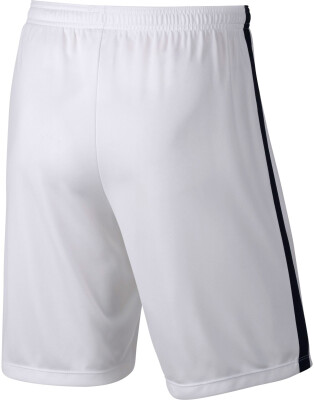 Nike Dry Short Acdmy