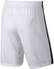 Nike Dry Short Acdmy