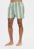nou Enrique M Striped Badeshort