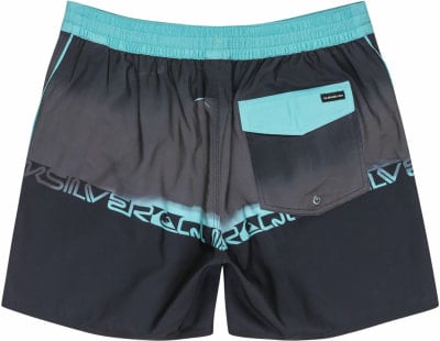 Quiksilver Everyday Jam Badeshorts