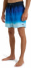 Billabong All Day Fade Badeshorts