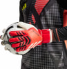 adidas Predator Match Torwarthandschuhe