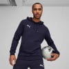 Puma teamGOAL Casuals Hoodie