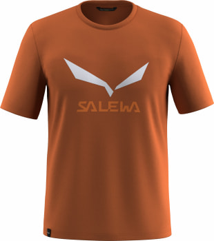 Salewa Solidlogo Dri-Rel T-Shirt