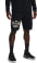Project Rock Terry Shorts