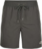 O'Neill Pm Vert Badeshorts