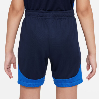 Nike Academy Pro Short