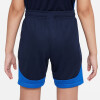 Nike Academy Pro Short