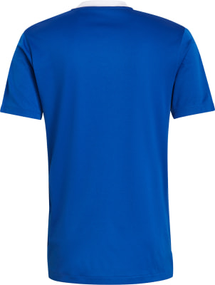 adidas Tiro 21 Trainingstrikot