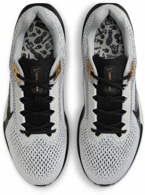 Nike Air Winflo 11 SE Laufschuhe