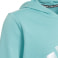 Future Icons Logo Hoodie