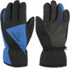 Eska Lexor Skihandschuhe