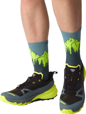 Dynafit Traverse 2 GTX Traillaufschuhe Dynafit Traverse 2 GTX Traillaufschuhe