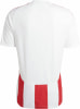 adidas STRIPED 24 JSY Trikot AEROREADY
