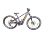 Lapierre Overvolt HT 9:7