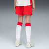 Puma FC Red Bull Salzburg 25/26 Shorts