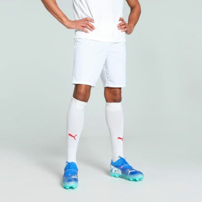 Puma teamGOAL Shorts